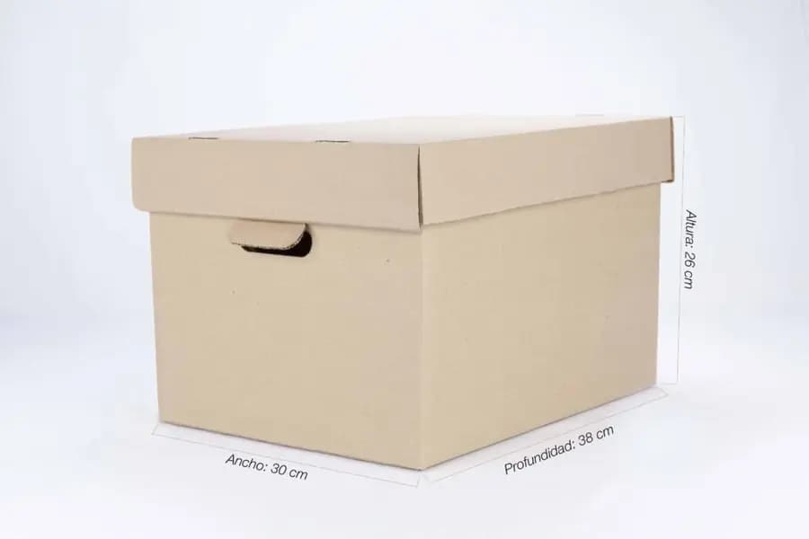 CARTON P ARCHIVAR 015 C TAPA 38X23 CM