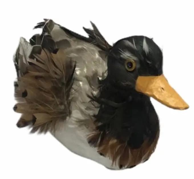 PATO CONC. ACOSTADO C PLUMAS 2435