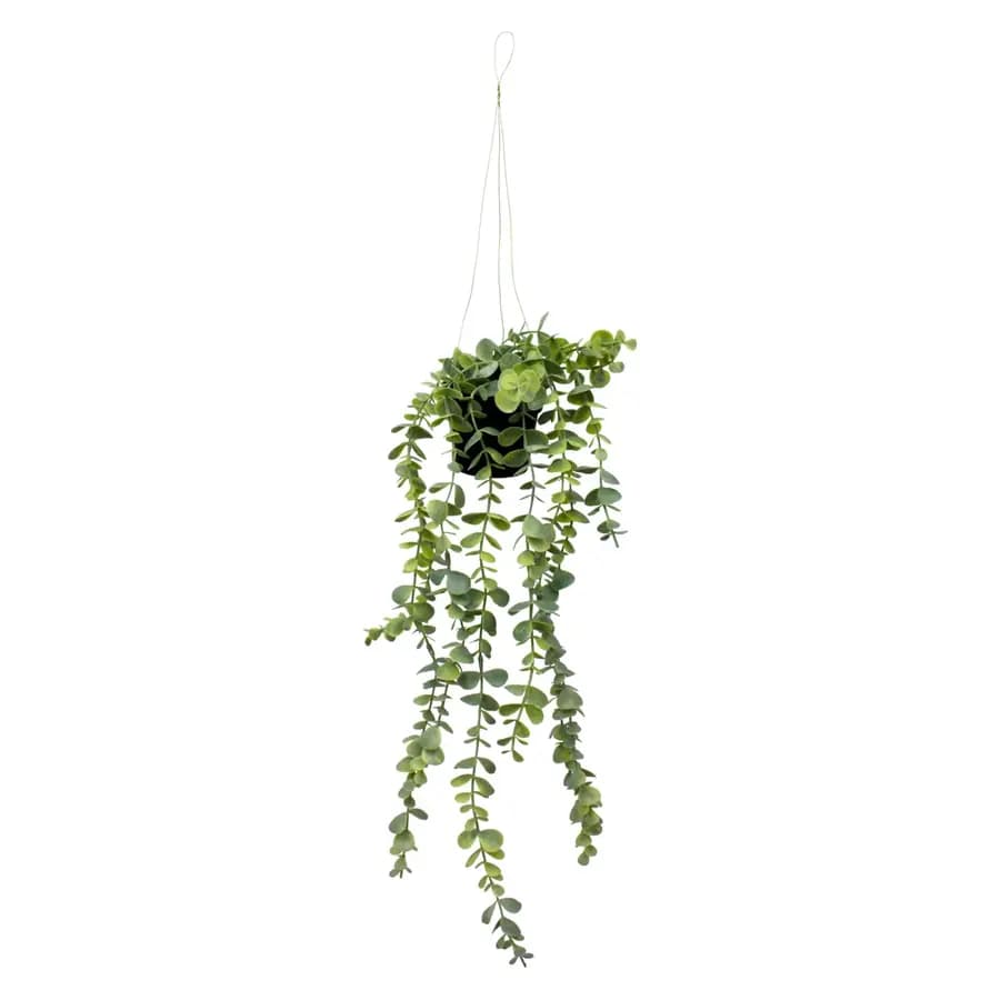 MINI PLANTA ES22729