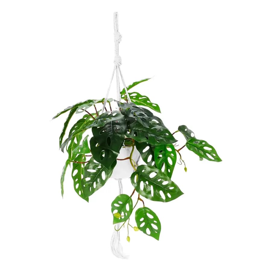 PLANTA C MACETA ES22780